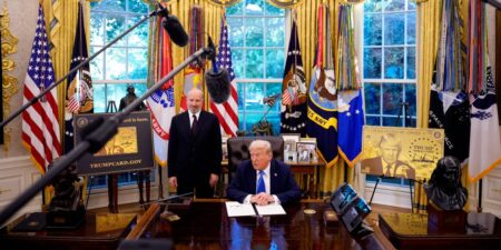 Business Leaders Who Received H-1B Visa