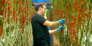 Photos Show How Tiny Country Became 2nd Largest Agricultural Exporter