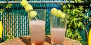How to Make the US Open’s Official Drink: the Grey Goose Honey Deuce