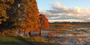 Why Best Time to Visit Florida Is Fall, From Local of 25 Years