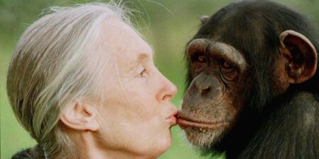 Jane Goodall, Chimpanzee Expert, Conservationist, Dead at 91