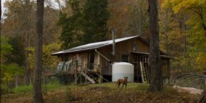 We Moved Off the Grid 10 Years Ago: Big Benefits, Surprising Drawbacks
