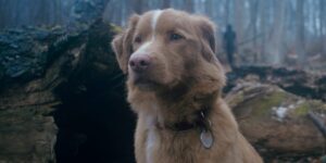 The ‘Good Boy’ Ending Explained: Does the Dog Die?