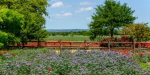 As a Local, My Favorite Small City to Visit in Texas Is Fredericksburg