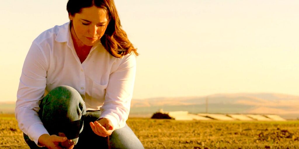 How a 241% Tariff Helped America Take Over the Global Pistachio Market How a 241% Tariff Helped America Take Over the Global Pistachio Market