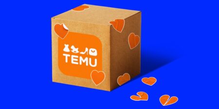 I Ordered From Temu and Braced for a Tariff Fee. I Was Surprised.