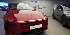 Tesla Ex-Global Sales Chief Says EV Market Can Grow Without Subsidies