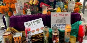 San Francisco Mourns Iconic Bodega Cat Said to Be Hit by a Waymo