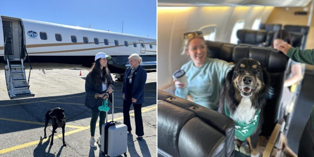 This ‘Shark Tank’-Backed Airline Lets Big Dogs Fly in the Cabin This ‘Shark Tank’-Backed Airline Lets Big Dogs Fly in the Cabin