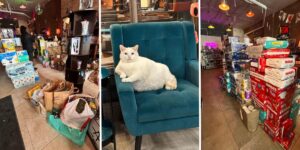 ICE Chaos, Boycott Plan Turn Minnesota Retailers Into Community Spaces