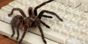 Anthropic, OpenAI Crawl the Web Even More, and Give Little Back Anthropic, OpenAI Crawl the Web Even More, and Give Little Back