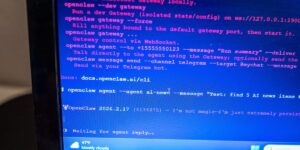 OpenClaw creator says ‘vibe coding’ has become a slur