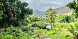 Surprising Things About Visiting Hawaii’s Friendliest Island, Molokai