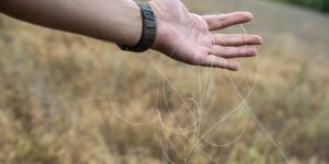 Ukrainian soldiers armed with scissors say they cut any fiber-optic drone cable they see — even if it might be their own Ukrainian soldiers armed with scissors say they cut any fiber-optic drone cable they see — even if it might be their own