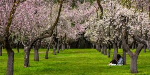 The under-the-radar books early retirees and savvy investors are reading to get ahead The under-the-radar books early retirees and savvy investors are reading to get ahead