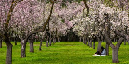The under-the-radar books early retirees and savvy investors are reading to get ahead