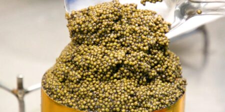 There’s More Caviar Than Ever. so Why Is It Still so Expensive?