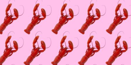From lobster hats to claw hands: OpenClaw’s internet moment