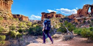 I saw 11 national parks in one 30-day trip. Using a few smart strategies and helpful apps, it only cost me ,500.