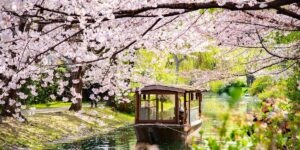 I visited Japan for the first time. The trip was great, but I could’ve easily avoided these 5 mistakes. I visited Japan for the first time. The trip was great, but I could’ve easily avoided these 5 mistakes.