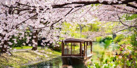 I visited Japan for the first time. The trip was great, but I could’ve easily avoided these 5 mistakes. I visited Japan for the first time. The trip was great, but I could’ve easily avoided these 5 mistakes.