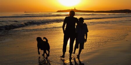 I sent my son to Australia alone when he was 13 so he’d be more independent. Now that he’s an adult, I get advice from him. I sent my son to Australia alone when he was 13 so he’d be more independent. Now that he’s an adult, I get advice from him.