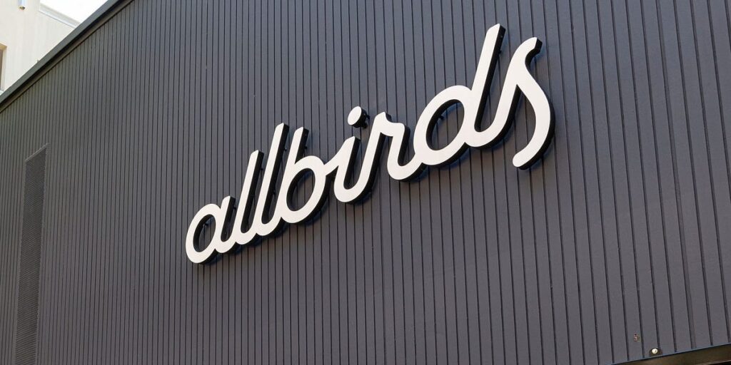 Allbirds was founded with a focus on environmental conservation. Its pivot to AI is leaving that behind.
