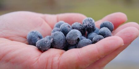 Should Organic Food Be so Expensive?