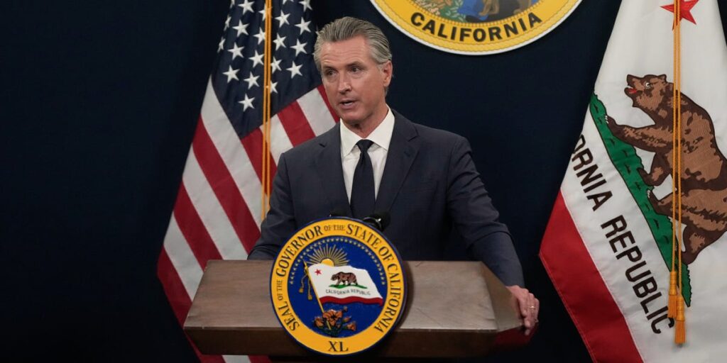 Gavin Newsom proposes a California digital software tax