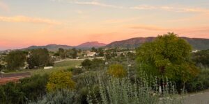 I’m a sommelier and travel advisor. There’s just one wine region I’m telling everyone to visit this summer.