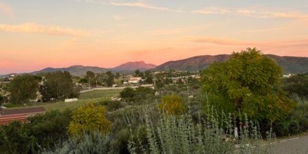 I’m a sommelier and travel advisor. There’s just one wine region I’m telling everyone to visit this summer.