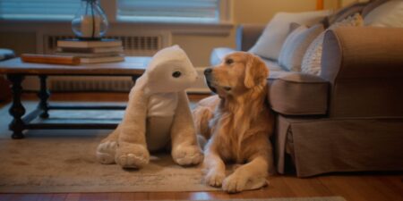 Roomba inventor Colin Angle made robots useful. Now he wants to make them lovable. Roomba inventor Colin Angle made robots useful. Now he wants to make them lovable.