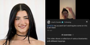 TikTok pulls back on an AI feature that described Charli D’Amelio as a collection of blueberries