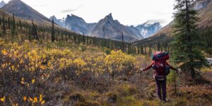 I’ve been to all 63 US national parks. These 4 are my favorites — but these 3 didn’t impress me much.