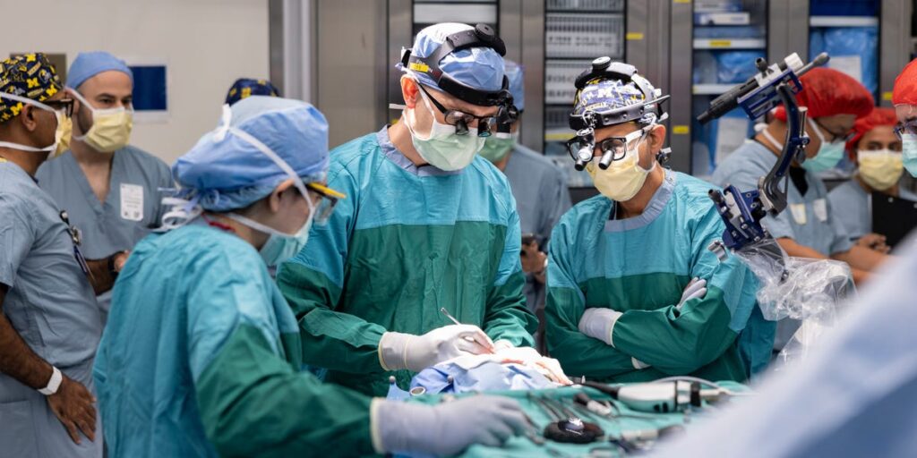 Neuralink competitor Paradromics just implanted its first brain-chip device. The next step is restoring speech. Neuralink competitor Paradromics just implanted its first brain-chip device. The next step is restoring speech.