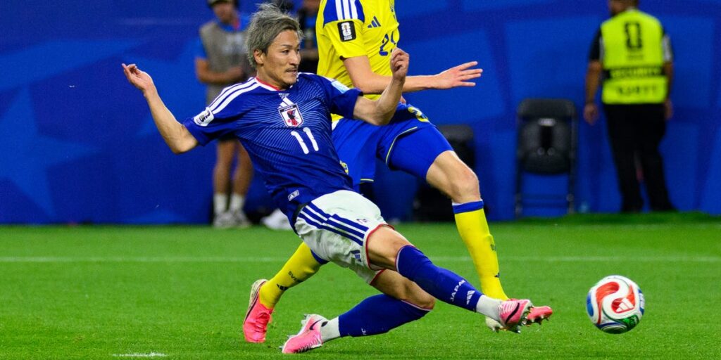 Why World Cup grass will travel hundreds of miles in refrigerated trucks before kickoff