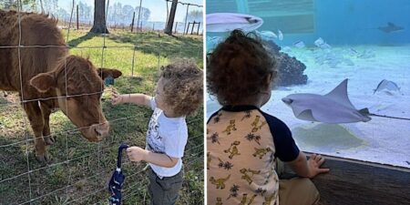 I thought we’d avoided the ‘terrible twos,’ but I was wrong. A weekly fun-day helps.