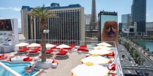 I spent 2 nights at Lisa Vanderpump’s brand-new Las Vegas hotel. I think she’s ready to become the Queen of Sin City.