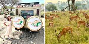 We went on our first African safari. Our trip would’ve been better if we’d known these 5 things before we left. We went on our first African safari. Our trip would’ve been better if we’d known these 5 things before we left.