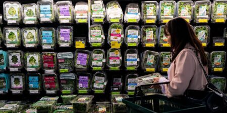 Taylor Farms pulls iceberg lettuce, says it’s ‘deeply concerned’ after cyclospora outbreak