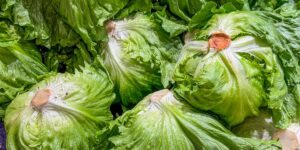 The cyclospora outbreak lawsuits have begun The cyclospora outbreak lawsuits have begun