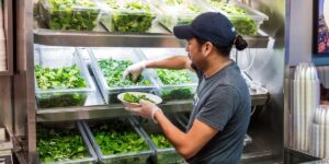 Salad bowl chains are flexing that they don’t serve iceberg lettuce anyway Salad bowl chains are flexing that they don’t serve iceberg lettuce anyway
