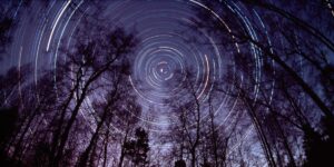 AI’s new North Star: Intelligence per dollar