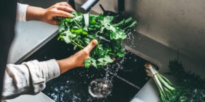 A parasite that causes diarrhea has been detected in 31 states: How to prepare food and what to avoid A parasite that causes diarrhea has been detected in 31 states: How to prepare food and what to avoid