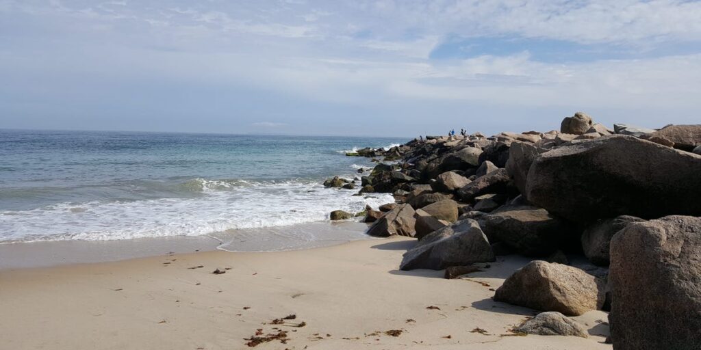 I live in Rhode Island. My favorite town to visit in the summer has great seafood, quiet beaches, and a bamboo forest. I live in Rhode Island. My favorite town to visit in the summer has great seafood, quiet beaches, and a bamboo forest.