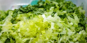 The FDA named a source of the diarrhea parasite outbreak. The saga isn’t over. The FDA named a source of the diarrhea parasite outbreak. The saga isn’t over.