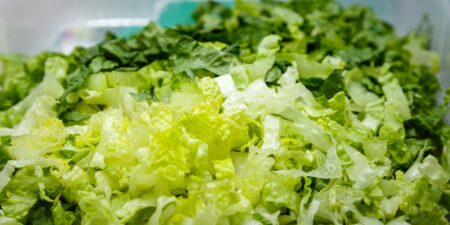 The FDA named a source of the diarrhea parasite outbreak. The saga isn’t over. The FDA named a source of the diarrhea parasite outbreak. The saga isn’t over.