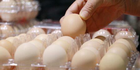 We were gaslit by Big Egg about egg prices (allegedly)