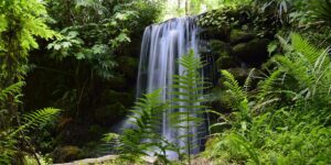 I’ve lived in Florida for over 25 years. Skip the major cities and spend time in these 5 gorgeous state parks instead.