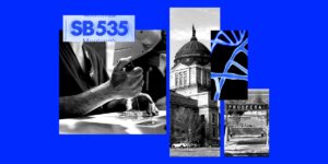 Montana’s experimental treatment law hands a VC the keys